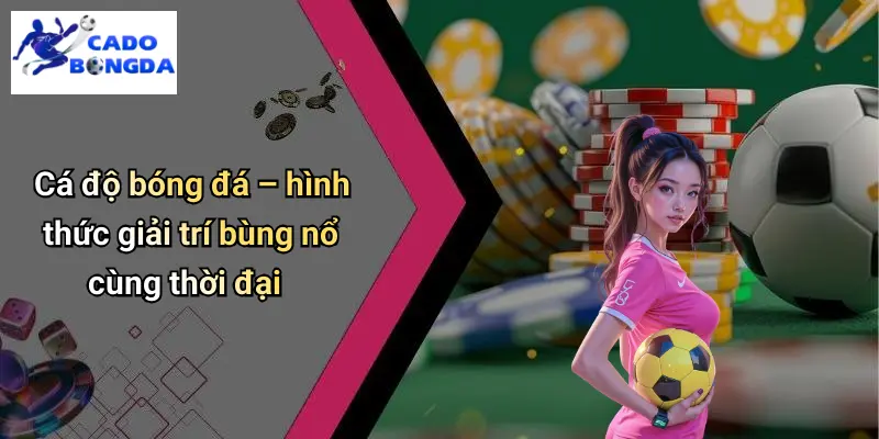 Cá Độ Bóng Đá