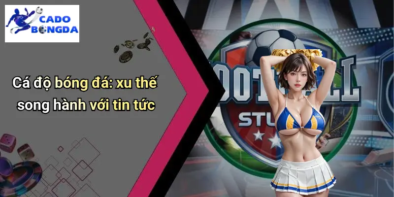 Tin Tức Bóng Đá