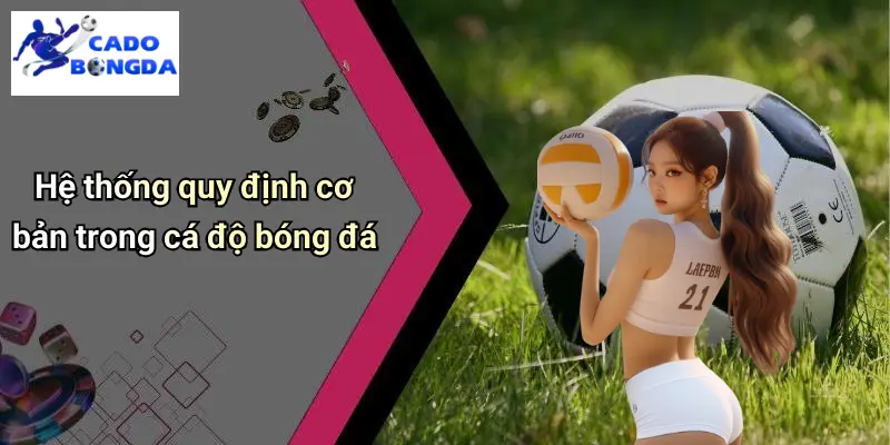 Điều Khoản Điều Kiện