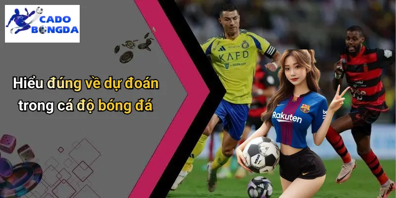 Dự đoán 1 Dự Đoán