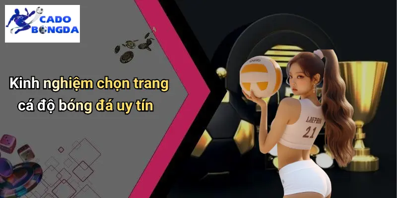 Cá Độ Bóng Đá