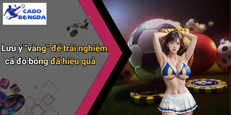 Cá Độ Bóng Đá