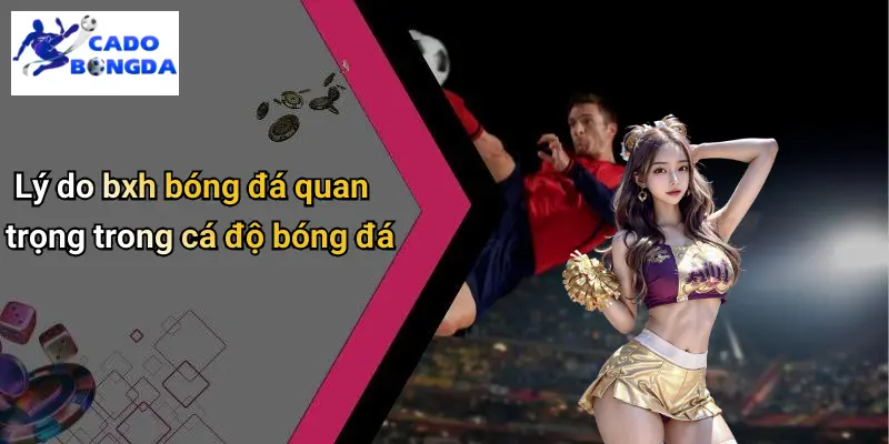 BXH bóng đá 1 BXH Bóng Đá