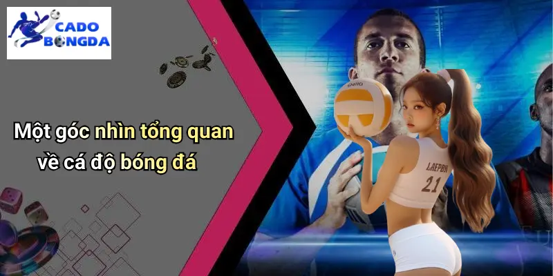 Giới Thiệu 1 Giới Thiệu