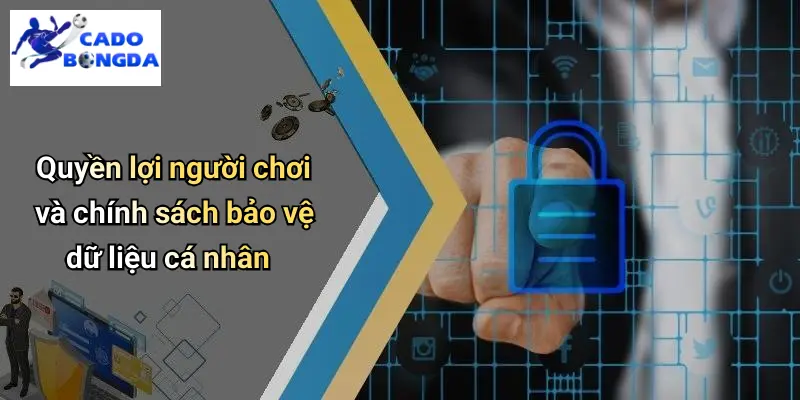 Chính Sách Bảo Mật