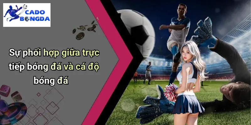 Trực Tiếp Bóng Đá