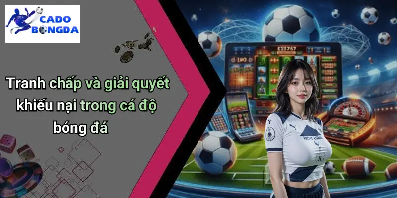 Điều Khoản Điều Kiện