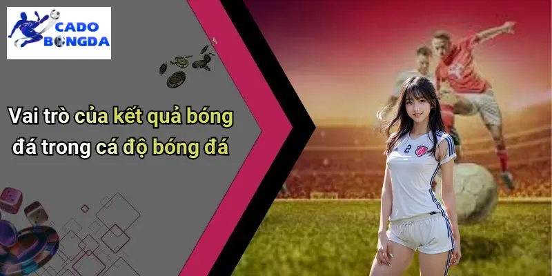 Kết Quả Bóng Đá 29 Kết Quả Bóng Đá