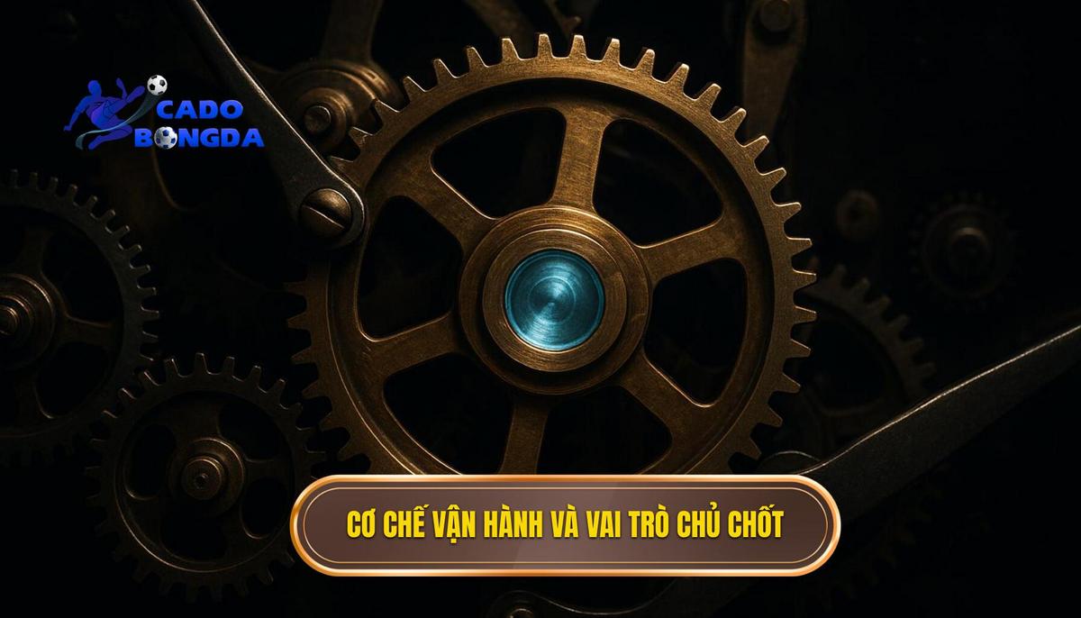 Cơ chế vận hành và vai trò của các vị trí chủ chốt
