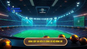 Đẳng cấp soi kèo C1 cùng CÁ ĐỘ BÓNG ĐÁ