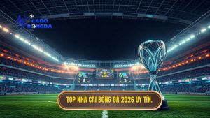 top nhà cái cá cược bóng đá uy tín 2026