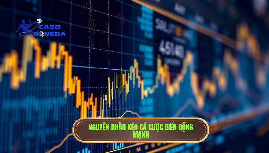 Tại sao kèo bắt đầu biến động mạnh? Phân tích đa chiều